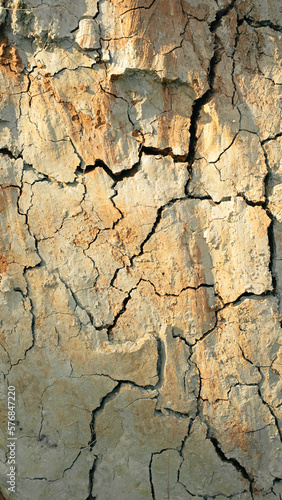 Texture of cracked clay. Background