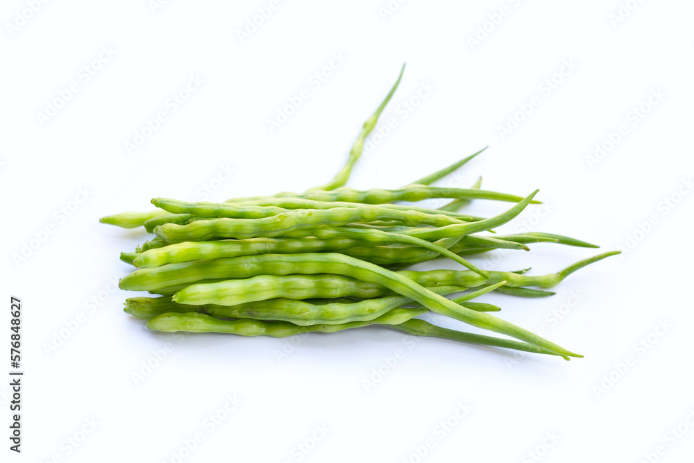 Rat-tailed radish. Fresh organic vegetables Rat-tailed radish. Fresh organic vegetables