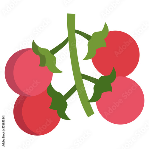Cherry tomatos icon