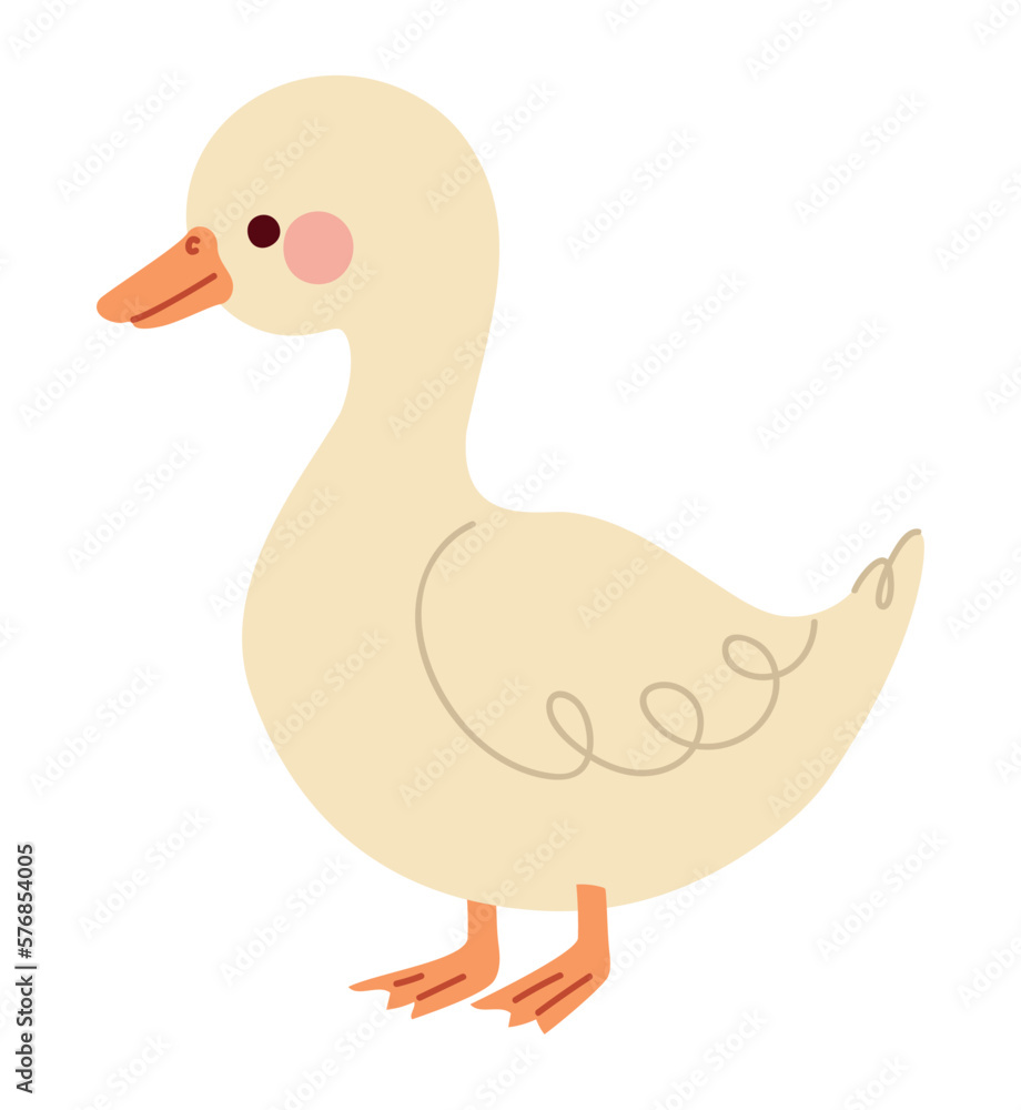 cute duck design cute duck design