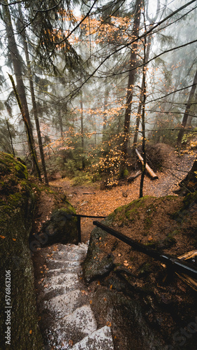 Treppe im Herbstwald