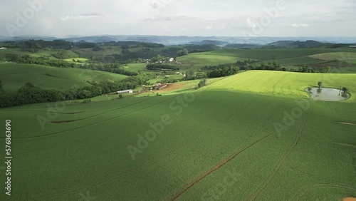 Flying over beautiful green corn fields at amazing light. Agriculture. South of Brazil. Aerial view.