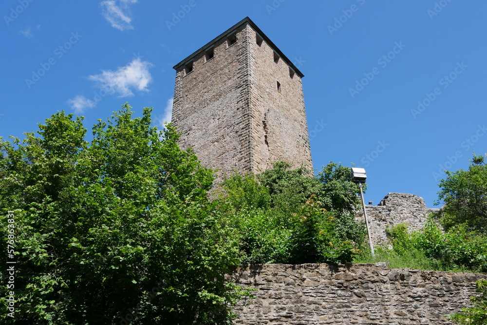 Burg bzw Burgruine Lichtenberg in der Pfalz
