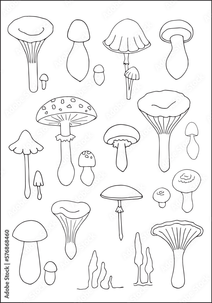 Set of different edible and poisonous mushrooms outlined in black and white, contours of different forms of mushrooms, silhouettes of mushrooms. Set of different edible and poisonous mushrooms outlined in black and white, contours of different forms of mushrooms, silhouettes of mushrooms.