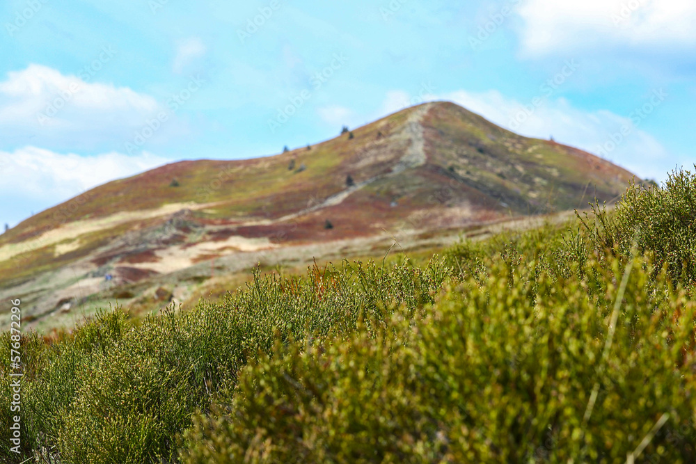 Fototapeta premium panorama of colorful bieszczady mountains in poland, europe during spring