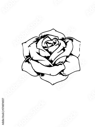Rose in hand drawing illustration for tattoo design