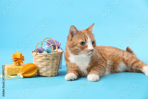 Cute cat, basket with Easter eggs and gift on blue background © Pixel-Shot