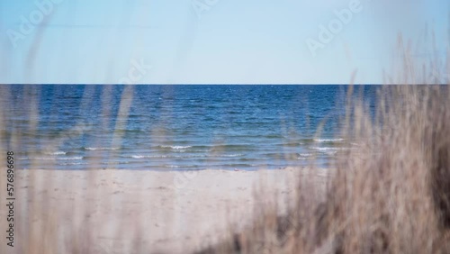 grass blowing in the wind on a beach next to the ocean photo
