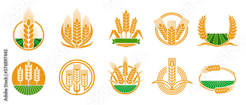 Cereal ear and spike icons of wheat, rye barley and rice millet, vector farm emblems. Bakery bread and flour organic product icons of wheat or rye ear on arable field, farm agriculture and cereal food photo