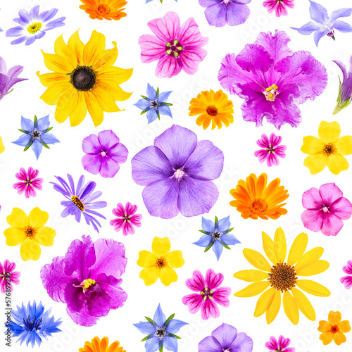 Bright pattern of colorful flowers on a white background  as a backdrop or texture. Spring  summer floral wallpaper for your design. Top view Flat lay