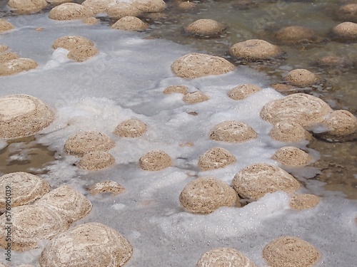 frothy thrombolites photo