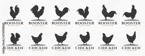 Silhouette chicken livestock, farm logo bundle. Perfect for company logos, business and branding.