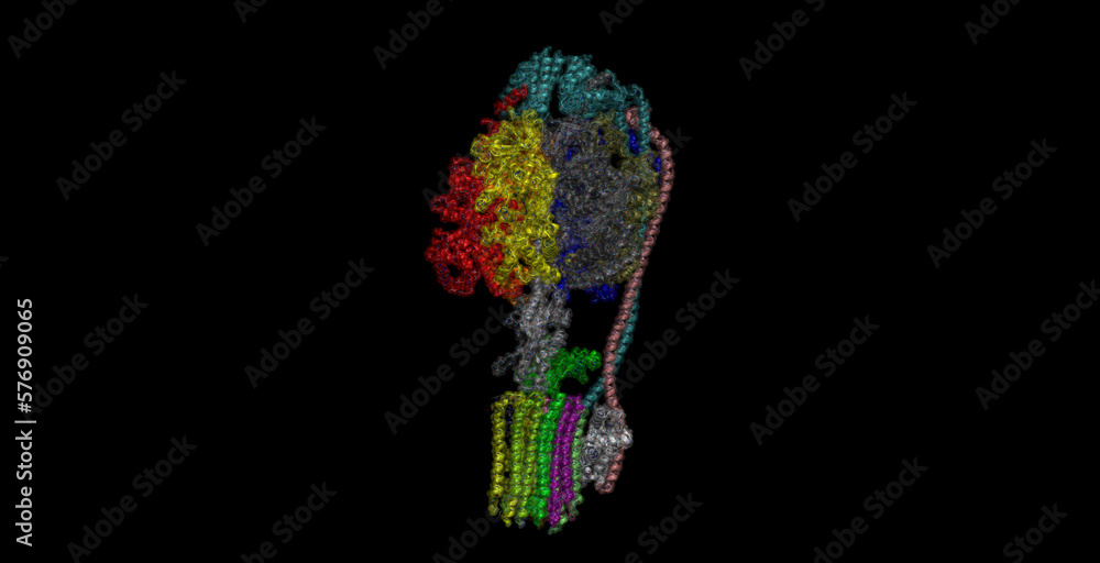 ATP synthase from Mycobacterium smegmatis 3D protein molecule 4K ATP synthase from Mycobacterium smegmatis 3D protein molecule 4K