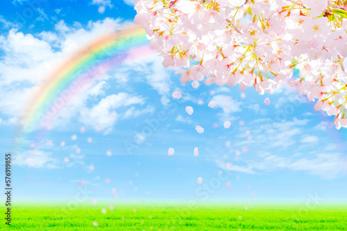 桜の花と草原_虹 © Nii Koo Nyan
