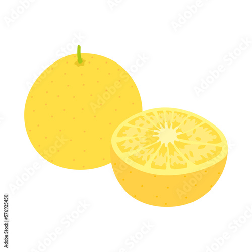 グレープフルーツ。フラットなベクターイラスト。
Grapefruit. Flat designed vector illustration.