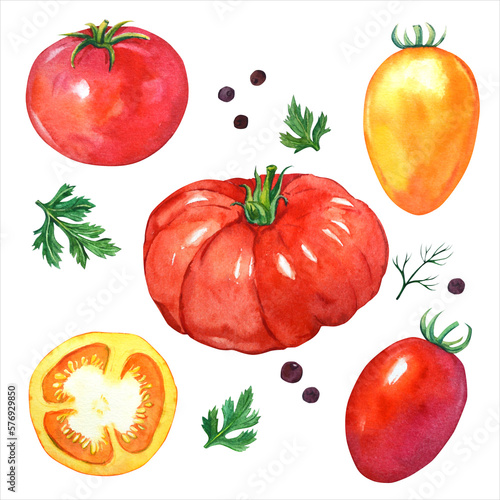 Fotografie Watercolor tomatoes on a white background