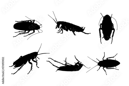 Set of silhouettes of cockroaches vector design