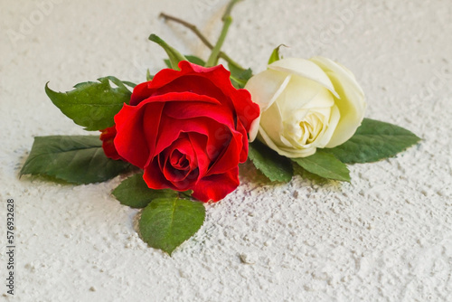 Fresh beautiful red and white rose with green leaves on jagged surface above view