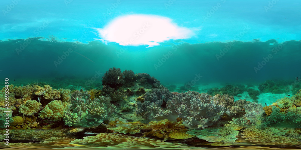 Tropical fishes and coral reef underwater. Hard and soft corals, underwater landscape. Philippines. Virtual Reality 360.