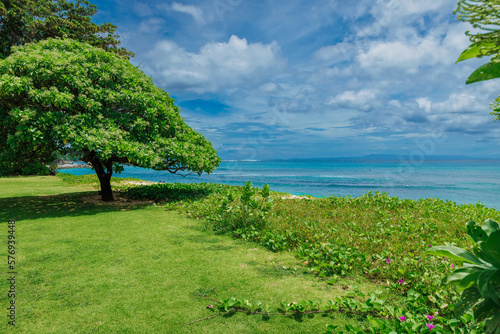 Tropical coastline in Bali. Scenic coastline with blue ocean