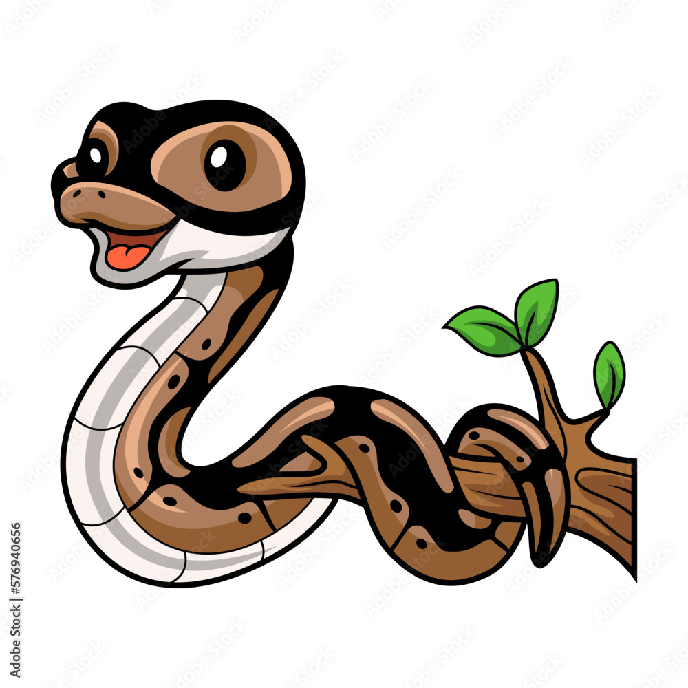 Fototapeta premium Cute ball python snake cartoon on tree branch