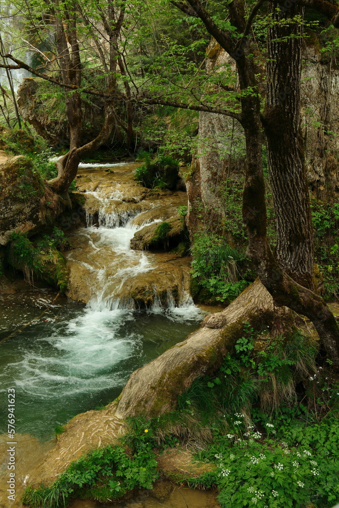 waterfall in the forest