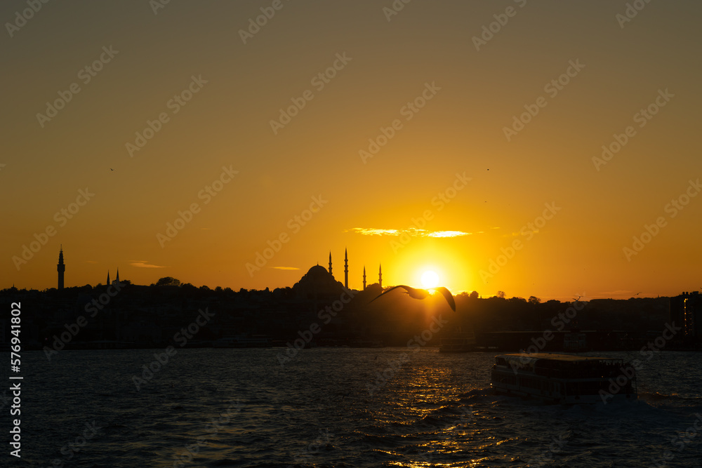 Istanbul photo. Silhouette of Istanbul and seagull at sunset.
