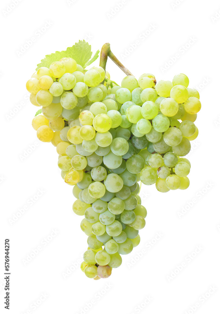 Bunch of grapes on a white background Bunch of grapes on a white background