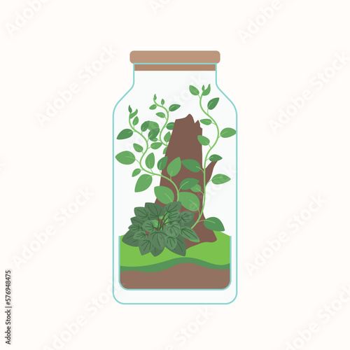 Live plants are planted in a glass container. The illustration depicts a terrarium for plants. Vector image.
