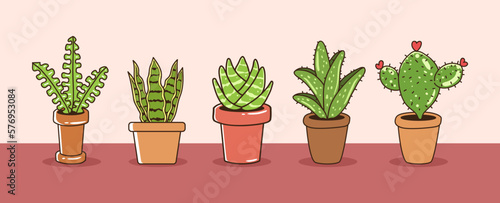 House plant vector collection