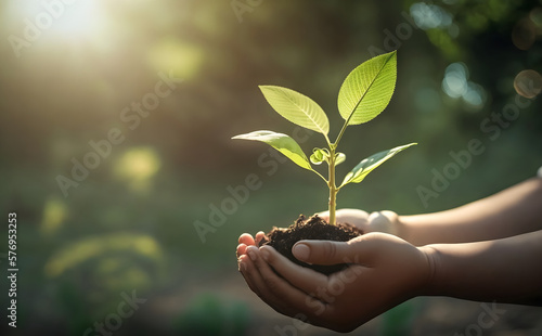 eco earth day concept. hand holding young plant in sunshine and green nature background - AI Generative