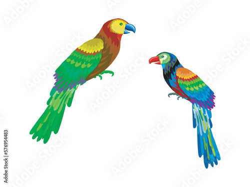 parrot birds hand drawing art, vector image.