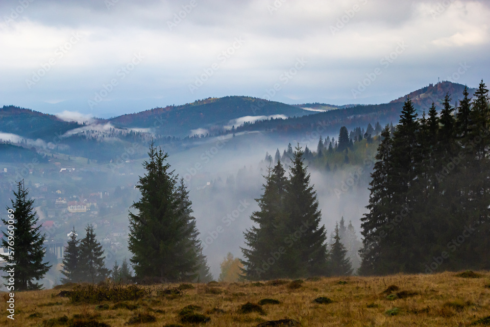 Autumn landscape with fog in the mountains. Fir forest on the hills. Carpathians, Ukraine, Europe. High quality photo