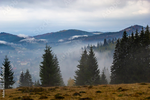 Autumn landscape with fog in the mountains. Fir forest on the hills. Carpathians  Ukraine  Europe. High quality photo