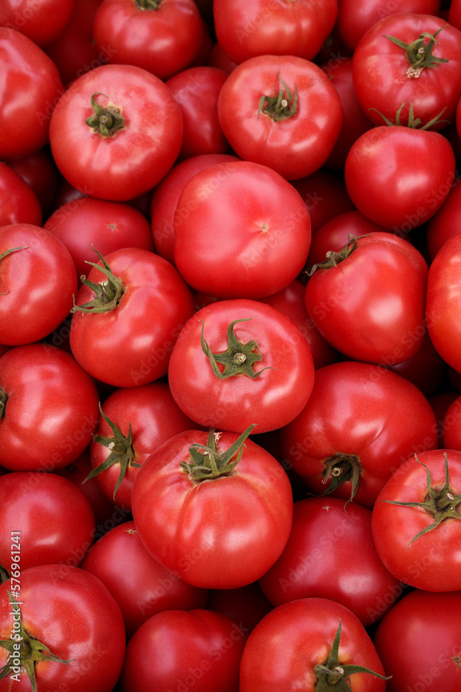 red tomatoes background. top view. summer tray of the farm's agrimarket is full of organic vegetables. red tomatoes background. top view. summer tray of the farm's agrimarket is full of organic vegetables.