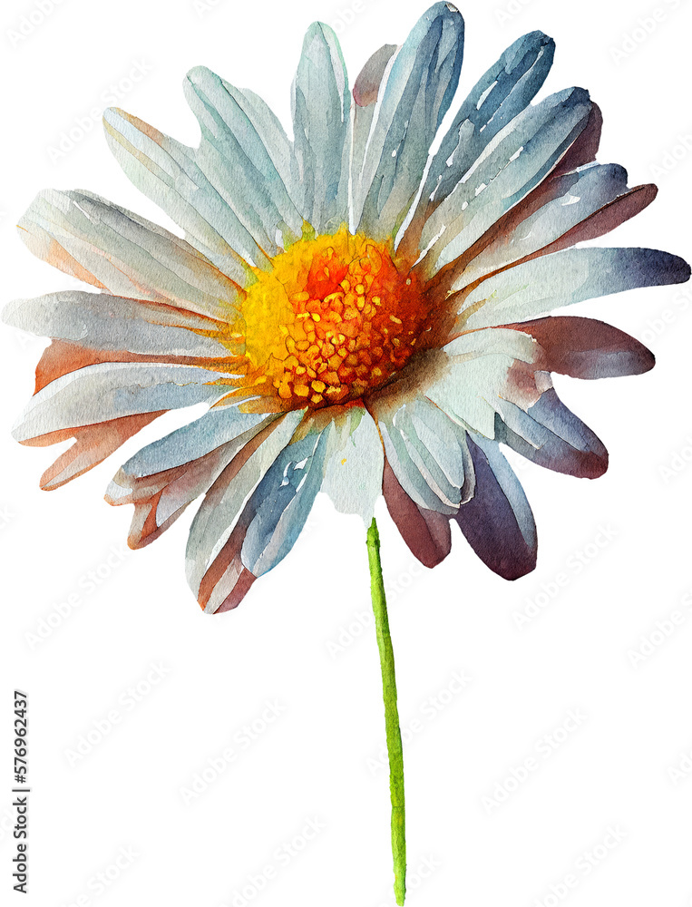 daisy transparent background - Generative AI daisy transparent background - Generative AI