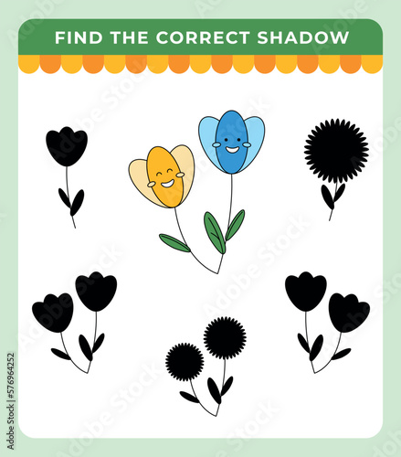 Flowers. Find the correct shadow. Educational game for children.