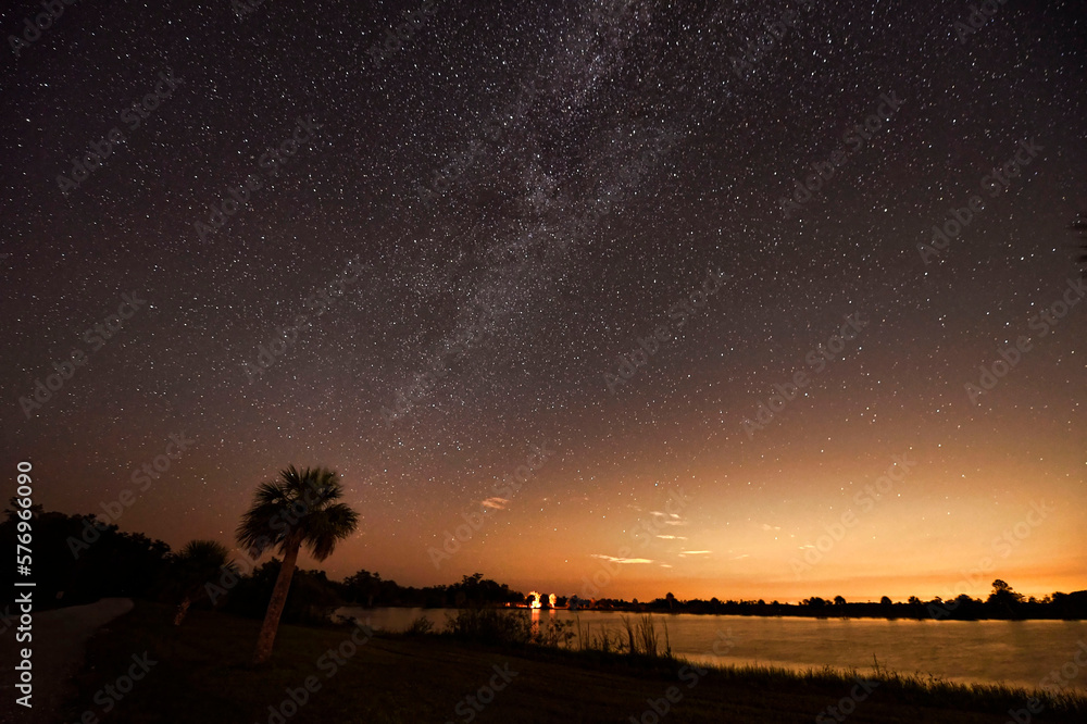 Stars in Big Cypress National Preserve Stars in Big Cypress National Preserve