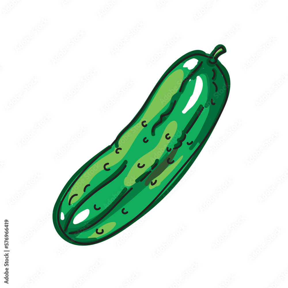 cucumber vector illustration cucumber vector illustration