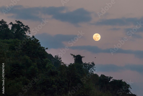 Full Moon in sky at sunset above trees in Phou Den Din National Protected Area, Phongsaly, Laos photo