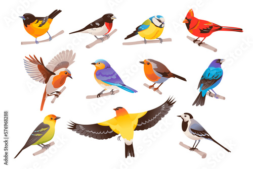 Spring colorful birds set. Little birds sit on a branch. Vector illustration isolated on white background. 