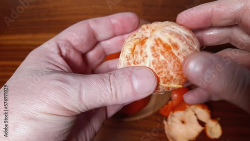 Tangerine Murcott in hands after peeling from a skin photo