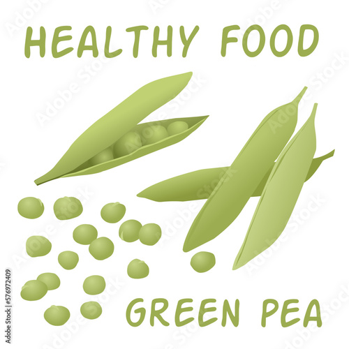 Naturalistic drawing of green pea. Healthi food.