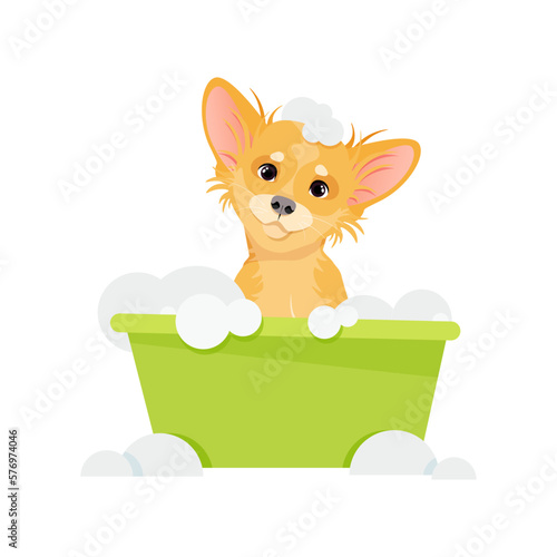 The dog sits in a bowl with soap bubbles and washes
