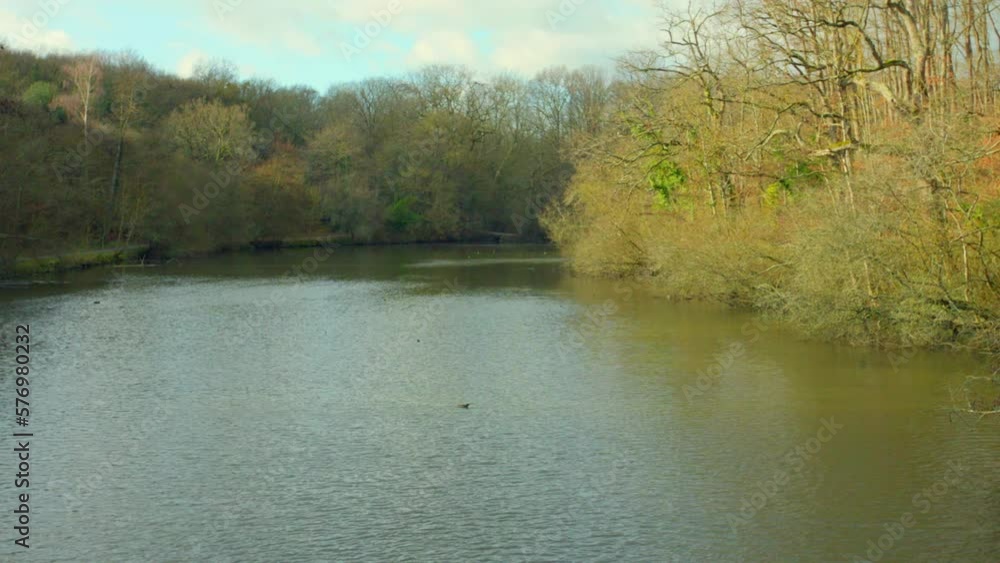 Ducks On The Peaceful River With Dense Trees In Summer In France. Wide Shot Ducks On The Peaceful River With Dense Trees In Summer In France. Wide Shot