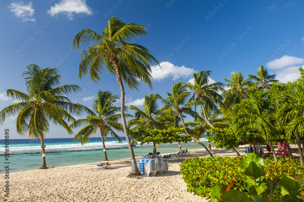Naklejka premium Barbados beach
