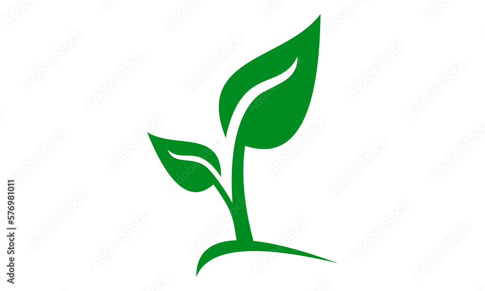 Fototapeta premium green leaf ecology nature vector logo