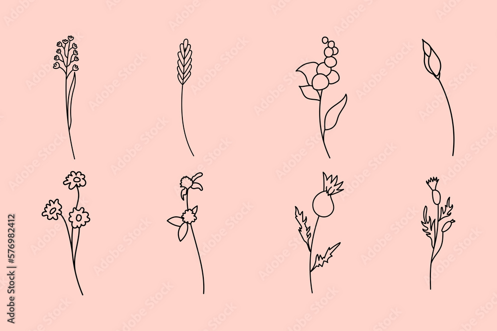 Wildflower hand drawn, wildflower line, logo flowers line,