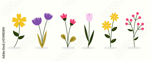 Floral element vector collection