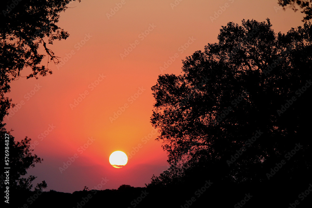 Fototapeta premium Puesta de sol, Dehesa Extremeña.